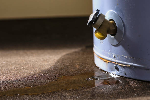 Best Carpet water damage restoration  in Capac, MI