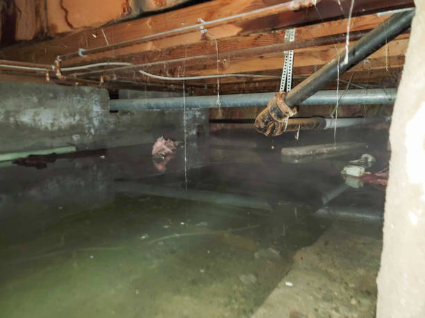 Capac, MI Water damage restoration Company