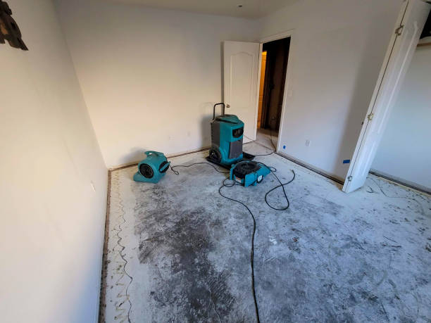 Fire Damage Restoration in Capac, MI