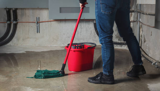  Capac, MI Water damage restoration Pros