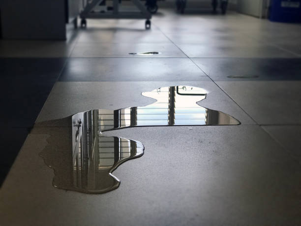 Best Water damage cleanup near me  in Capac, MI