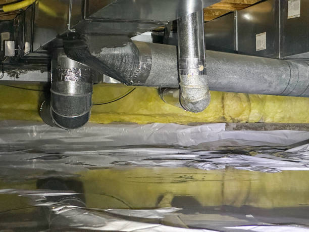 Best Sewage cleanup and water damage restoration  in Capac, MI