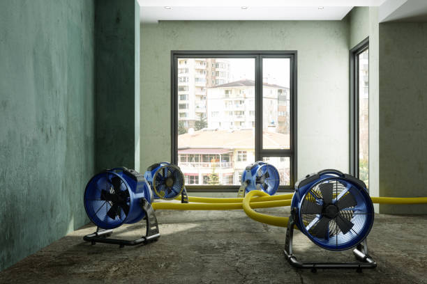 Best Water damage restoration services  in Capac, MI